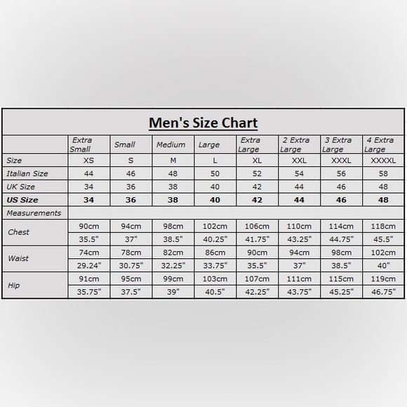 EUC Men’s Large Burberry Brit V-Neck Cotton Tee With Logo Embroidered In Blaack - Picture 14 of 14